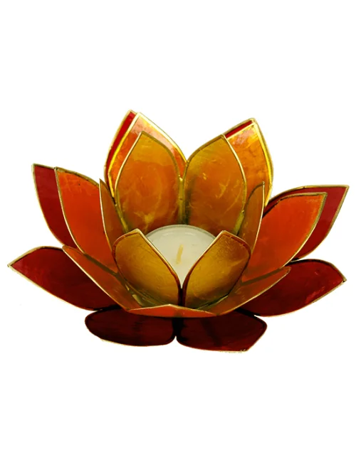 Teelichthalter - Capiz Muschel - Lotus Licht - Sunshine mit gold - ca. 13,5x5,5 cm