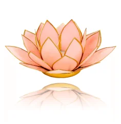 Teelichthalter - Capiz Muschel - Lotus Licht - Rosa pastell mit Gold - ca. 13,5x5,5 cm