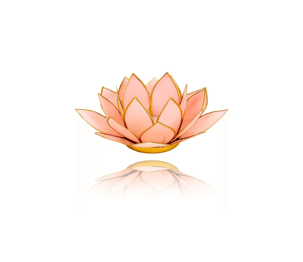 Teelichthalter - Capiz Muschel - Lotus Licht - Rosa pastell mit Gold - ca. 13,5x5,5 cm