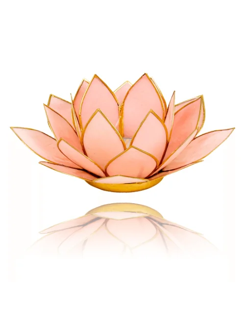Teelichthalter - Capiz Muschel - Lotus Licht - Rosa pastell mit Gold - ca. 13,5x5,5 cm