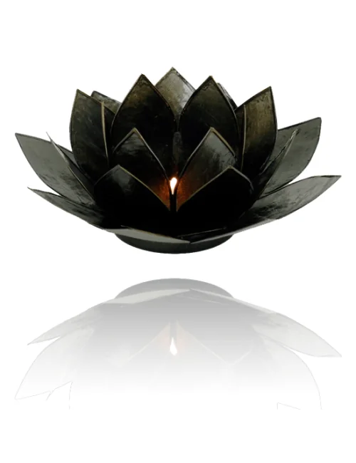 Teelichthalter - Capiz Muschel - Lotus Licht - Schwarz mit Gold - ca. 13,5x5,5 cm