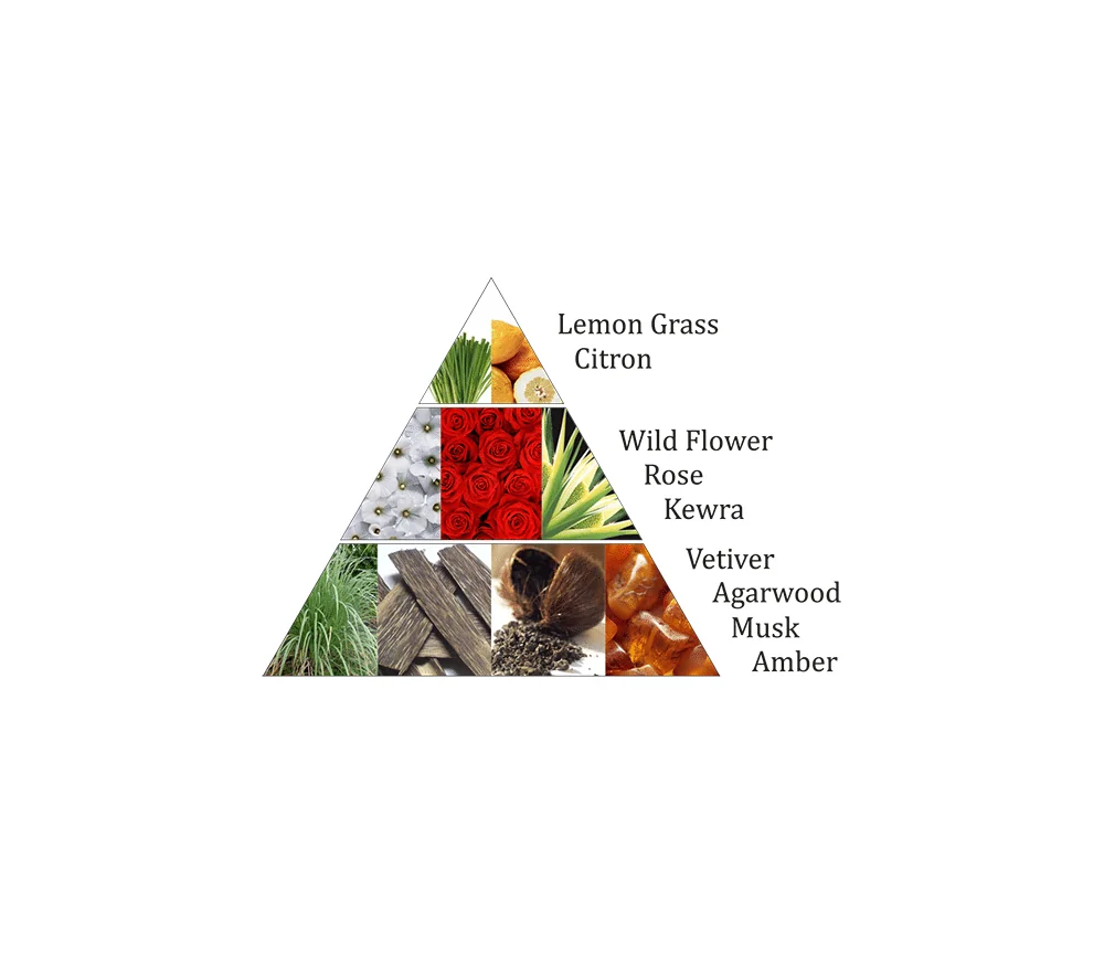 Aromafume - Weihrauchblöcke - Lemon Mist - 18 Stück Packung