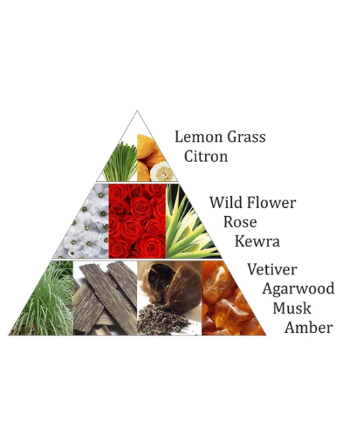 Aromafume - Weihrauchblöcke - Lemon Mist - 18 Stück Packung