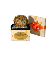 Engelalm - Steinseelchen - Erdung & Urvertrauen - VERSTEINERTES HOLZ