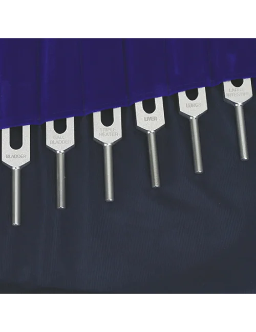 Stimmgabel - Meridian Set - 12 Meridiane + 2 zen. Gefäße - aus Aluminium - 14 er Set - ca. 40x37 cm