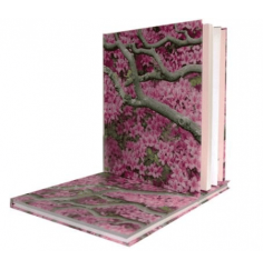 Traumfänger- mit gehäkeltem Netz, bunt 16x50cm