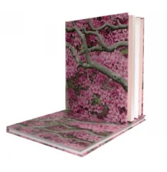 Traumfänger- mit gehäkeltem Netz, bunt 16x50cm