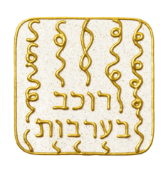 Ingrid Auer - DNA-Symbol 08: Schicht Akasha-Meister-Chronik