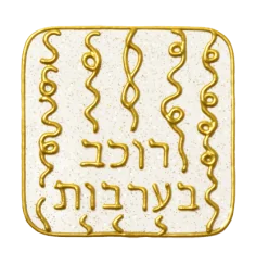 Ingrid Auer - DNA-Symbol 08: Schicht Akasha-Meister-Chronik