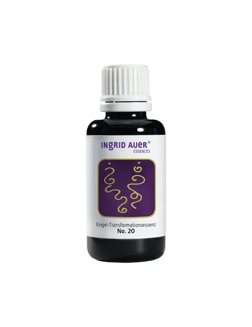 Ingrid Auer - TS-Essenz No. 20 "Schuldgefühle und Selbstverurteilung"