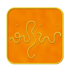 Ingrid Auer - TS - Symbol Karmische Ängste