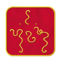 Ingrid Auer - TS - Symbol Erdung und Zentrierung