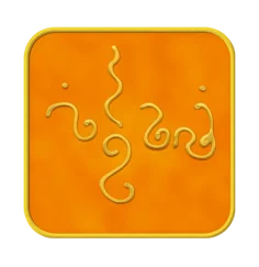 Ingrid Auer - TS - Symbol Aufrichtiges Wollen