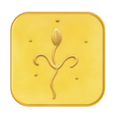 Ingrid Auer - Meistersymbol Kuthumi