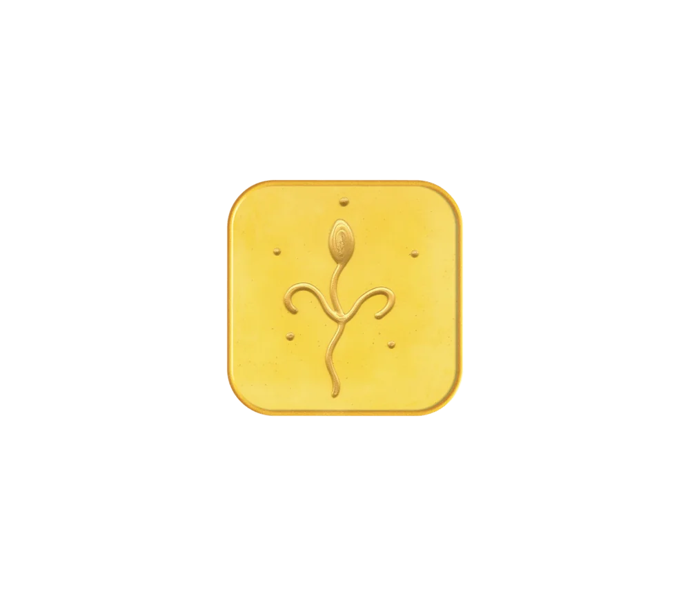 Ingrid Auer - Meistersymbol Kuthumi