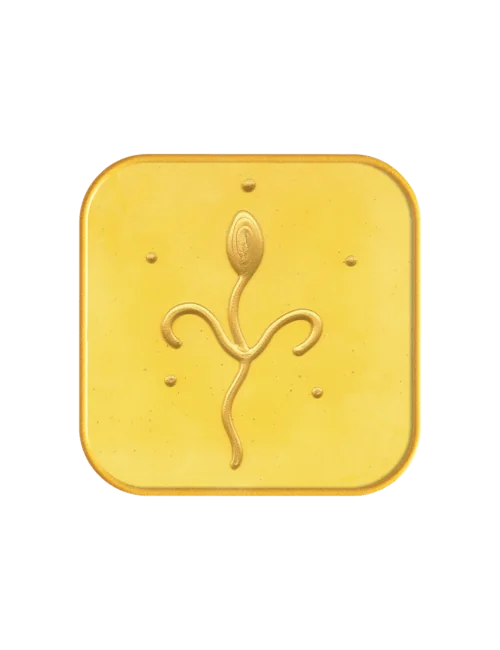 Ingrid Auer - Meistersymbol "Kuthumi"