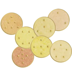 Ingrid Auer - Engel-Kombisymbol-Set No. 09 Saniel