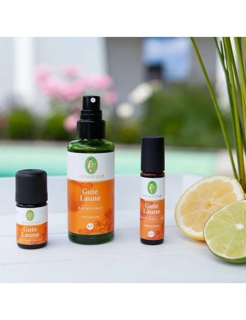 Primavera - Raumspray - Gute Laune Raumspray bio - 50 ml