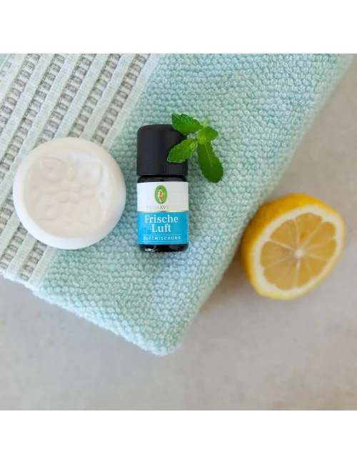 Primavera - Aroma Duftstein - Ornament