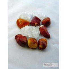 One World Minerals - Lebendige Vielfalt - quintESSENCE Wassersteine