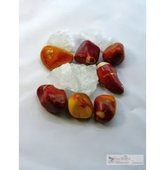 One World Minerals - Lebendige Vielfalt - quintESSENCE Wassersteine