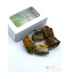 One World Minerals - versteinertes Holz Wassersteine - quintESSENCE Wassersteine