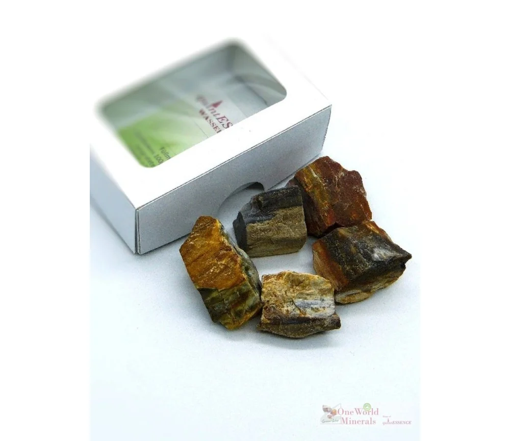 One World Minerals - versteinertes Holz Wassersteine - quintESSENCE Wassersteine