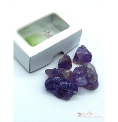 One World Minerals - Amethyst Wassersteine - quintESSENCE Wassersteine