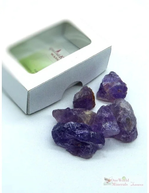 One World Minerals - Amethyst Wassersteine - Schachtel mit Sichtfenster - quintESSENCE Wassersteine