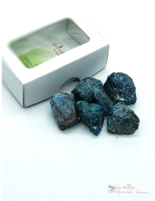 One World Minerals - Apatit Wassersteine - Schachtel mit Sichtfenster - quintESSENCE Wassersteine