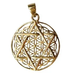 Anhänger - Blume des Lebens mit Hexagram- Messing