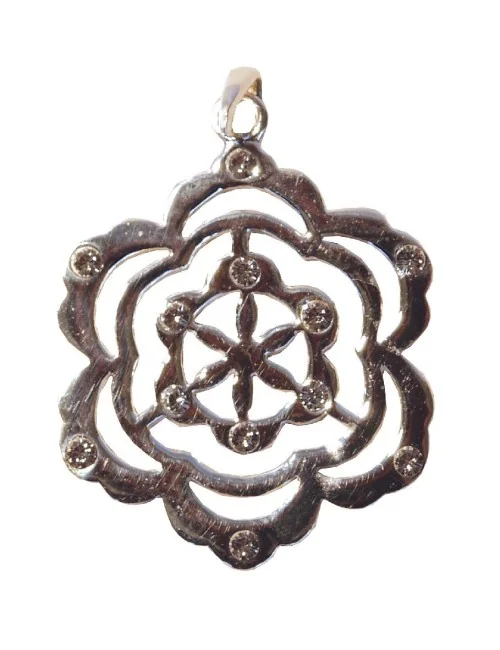 Anhänger "Saat des Lebens" 12 Zirkon 925er Silber 3
