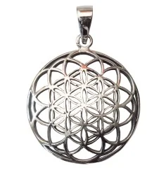 Anhänger - Saat des Lebens- Bronze versilbert 3,6g 2,5cm