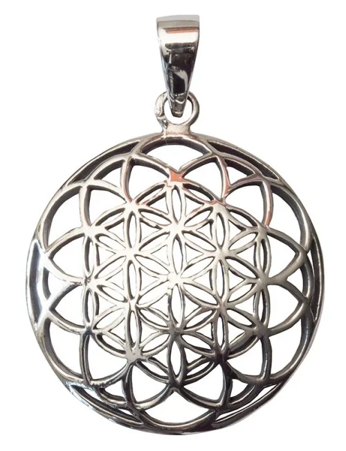 Anhänger "Saat des Lebens" Bronze versilbert 3