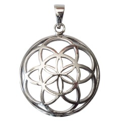 Anhänger -  Saat des Lebens- Messing versilbert 4g 3cm