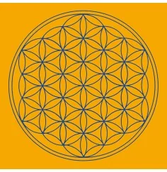 Leinwanddruck - Blume des Lebens- Sakral-Chakra orange 20x20cm