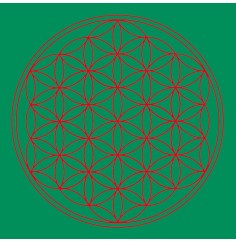 Leinwanddruck - Blume des Lebens- Herz-Chakra grün 20x20cm