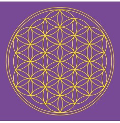 Leinwanddruck - Blume des Lebens- Scheitel-Chakra violett 20x20cm