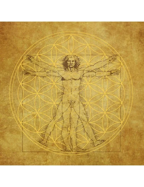 Leinwanddruck "Blume des Lebens" Vituv-Da Vinci 40x40cm