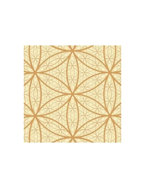 Leinwanddruck Endlos BdL ocker 40x40