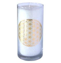 Kerze "Pure BDL" im Glas Stearin 14cm