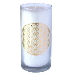 Kerze "Pure BDL" im Glas Stearin 14cm