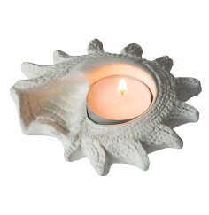 Teelichthalter -Muschel- Resin 10cm