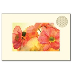 Klappkarte - Blume des Lebens - Mohnblume orange- 11,5x16,7cm (mit Kuvert B6)