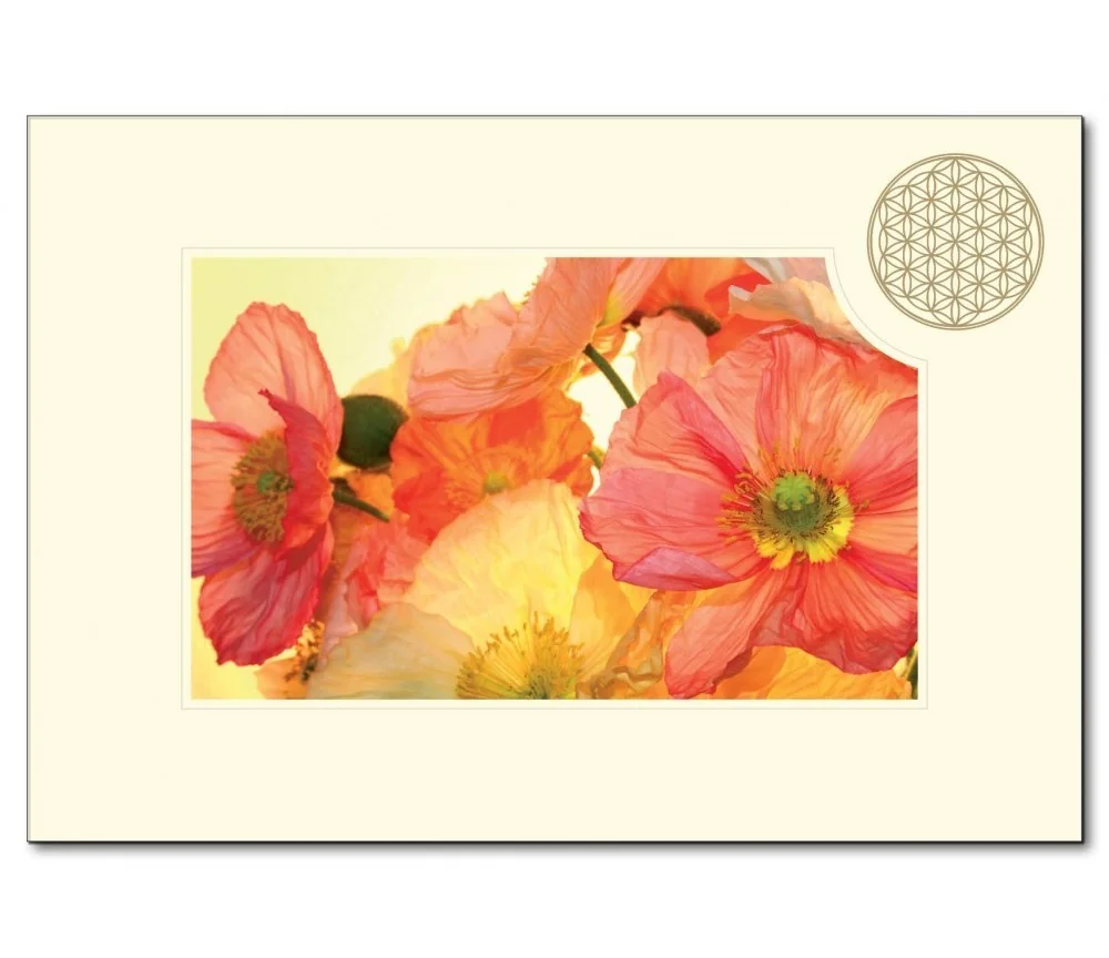 Klappkarte - Blume des Lebens - Mohnblume orange- 11,5x16,7cm (mit Kuvert B6)