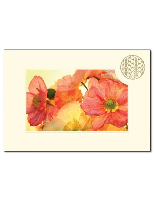 Klappkarte BdL "Mohnblume orange" 11