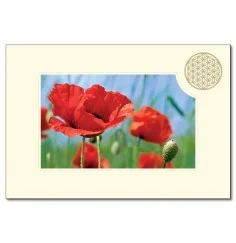 Klappkarte - Blume des Lebens - Mohnblume rot- 11,5x16,7cm (mit Kuvert B6)