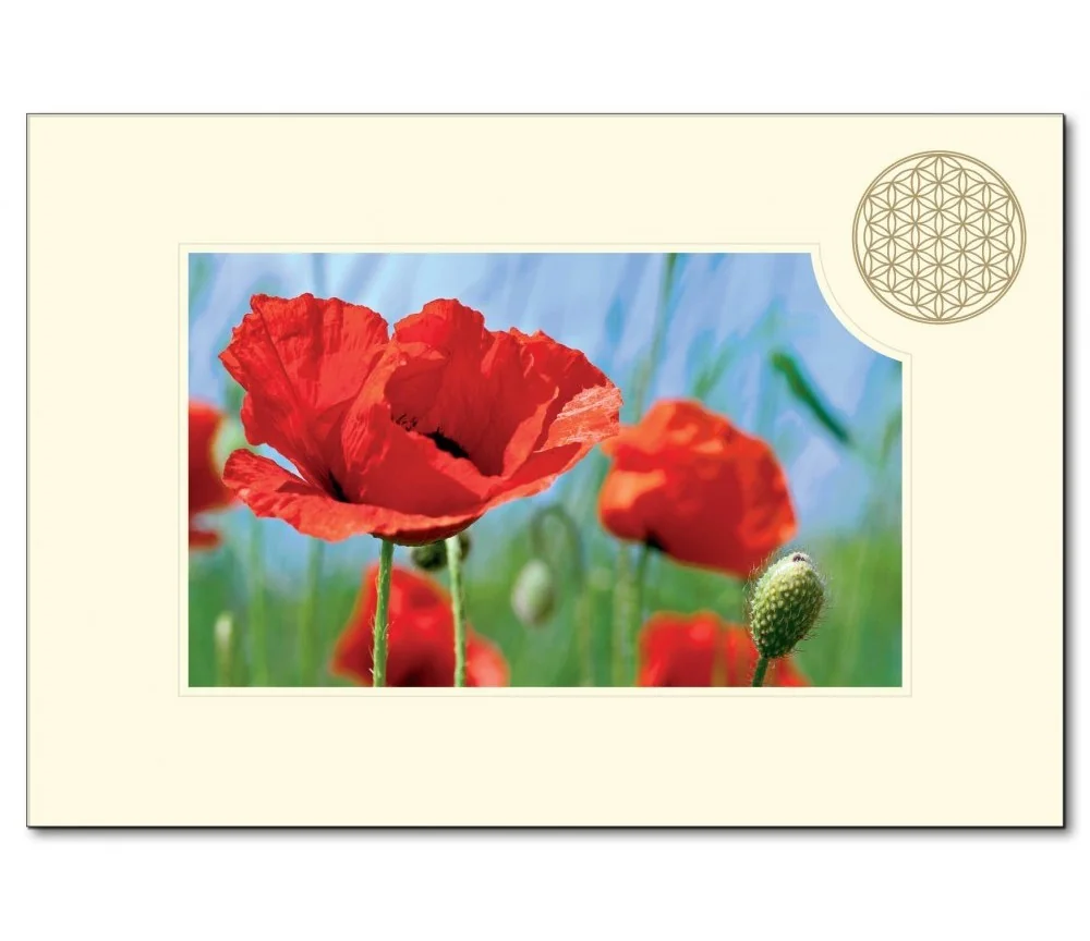 Klappkarte - Blume des Lebens - Mohnblume rot- 11,5x16,7cm (mit Kuvert B6)