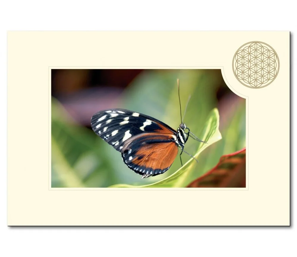 Klappkarte - Blume des Lebens - Schmetterling- 11,5x16,7cm (mit Kuvert B6)