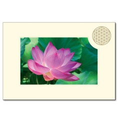 Klappkarte - Blume des Lebens - Lotusblüte- 11,5x16,7cm (mit Kuvert B6)